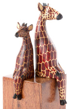 Kenyan Jacaranda Ledge Lounging Giraffes