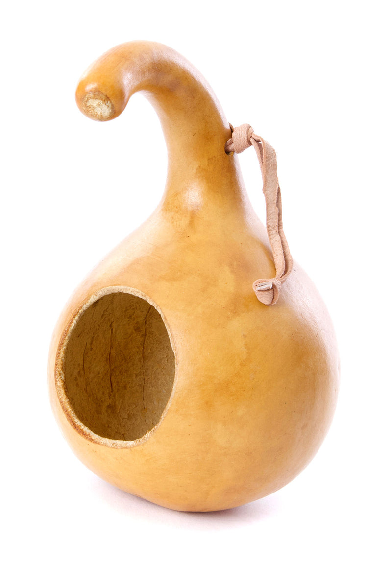 All Natural Calabash Gourd Bird House with Leather Hanging Loop