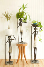 Kenyan Cow Horn Nomad Plant Pedestals