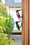 Colorful Recycled Oil Drum Hanging Woodpecker Sculpture