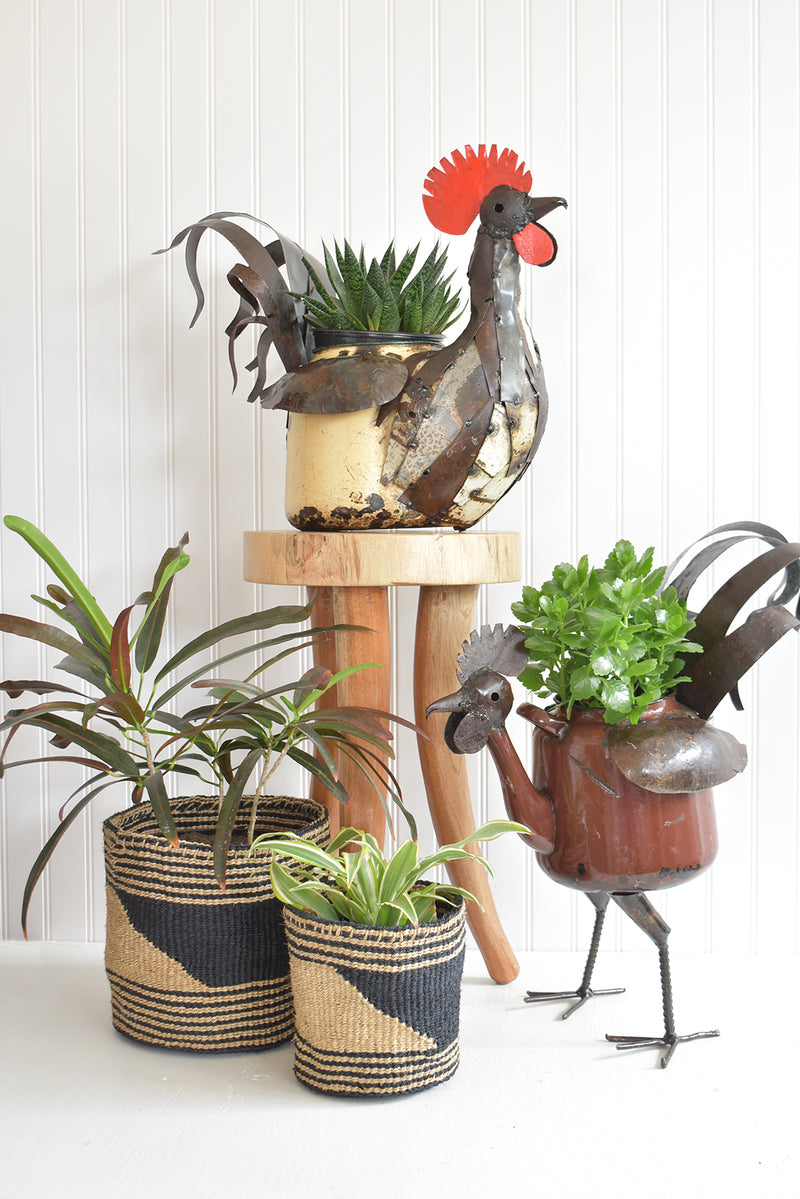Large Sitting Rooster Teapot Planter from Zimbabwe